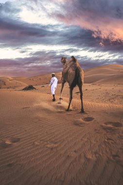 Abu dhabi batı bölgesi Liwa Çölü Birleşik Arap Emirlikleri 30 Nisan 2010