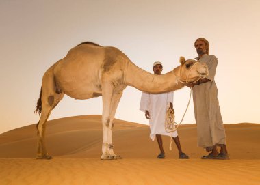 Bedevi adam devesiyle Abu dhabi Batı Bölgesi Liwa Çölü Birleşik Arap Emirlikleri 'nde 30 Nisan 2010