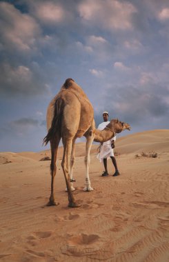 Abu dhabi batı bölgesi Liwa Çölü Birleşik Arap Emirlikleri 30 Nisan 2010