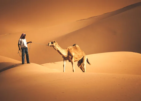 Uomo Beduino Arabo Con Suo Cammello Nel Deserto Abu Dhabi — Foto Stock