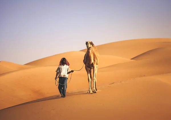 Homme Bédouin Arabe Avec Son Chameau Dans Désert Abu Dhabi — Photo