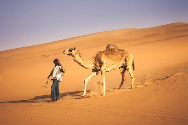 Abu Zabi Zachodni Region Liwa Pustynia Zjednoczonych Emiratach Arabskich Kwietnia — Zdjęcie stockowe