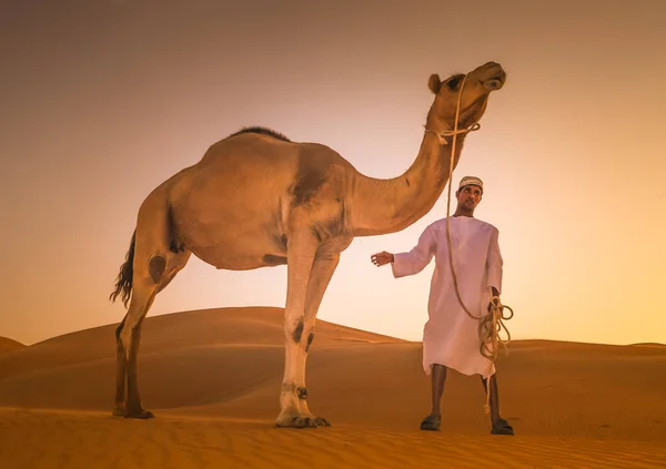 Hombre Beduino Con Camello Abu Dhabi Región Occidental Del Desierto —  Fotos de Stock