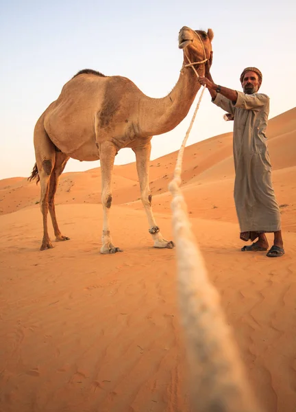 Beduínský Muž Svým Velbloudem Západním Regionu Abú Dhabí Liwa Poušť — Stock fotografie
