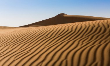 Abu Dabi batı bölgesinin güzel kum tepeleri.