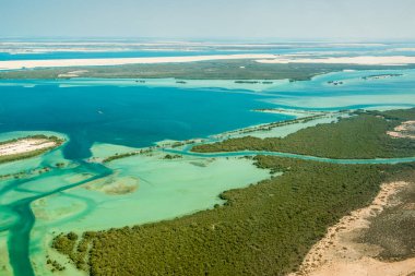 Abu Dabi Birleşik Arap Emirlikleri 'ndeki doğu mangrov ağacı için hava saldırısı.