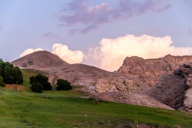 Yeşil Mubazzarah Kadehleri, Al Ain, Abu Dabi