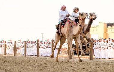 Al Wathba Şeyh Zayed Miras Festivali 'nde Al Wathba, Abu Dabi' de Deve Binicileri yarışı, 22 Nobember 2014