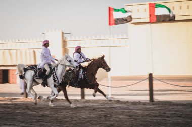 Arap atlarına binen Şeyh Zayed Miras Festivali 22 Eylül 2014, Abu Dhab, Birleşik Arap Emirlikleri