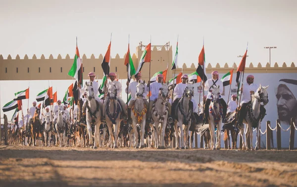 Вершники Верблюдів Виступають Фестивалі Wathba Sheikh Zayed Heritage Festival Аль — стокове фото