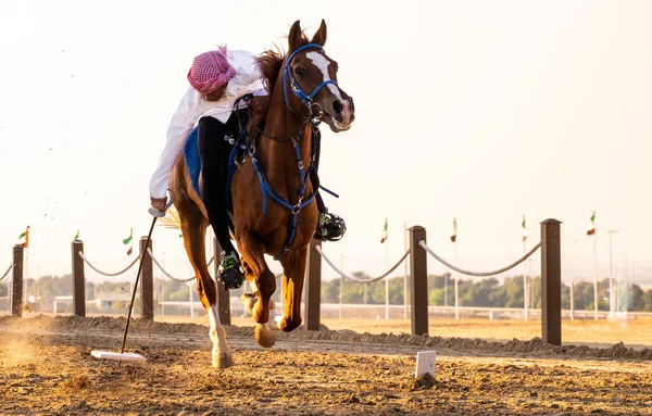 Lovaglás Arab Patkó Sheikh Zayed Heritage Festival Szeptember 2014 Abu — Stock Fotó