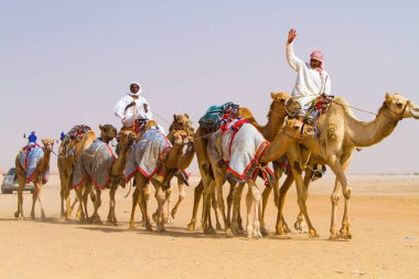 29 Aralık 2012 'de Al Dafrah festivalinde deveye binen Bedevi erkekleri Abu Dabi, Birleşik Arap Emirlikleri