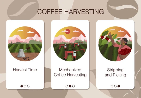 Zestaw stron aplikacji mobilnych firmy usługowej o metodach zbioru kawy na plantacjach — Wektor stockowy