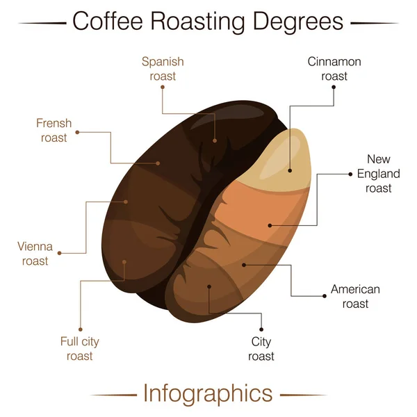 Stopnie pieczenia kawy. Infografika — Wektor stockowy