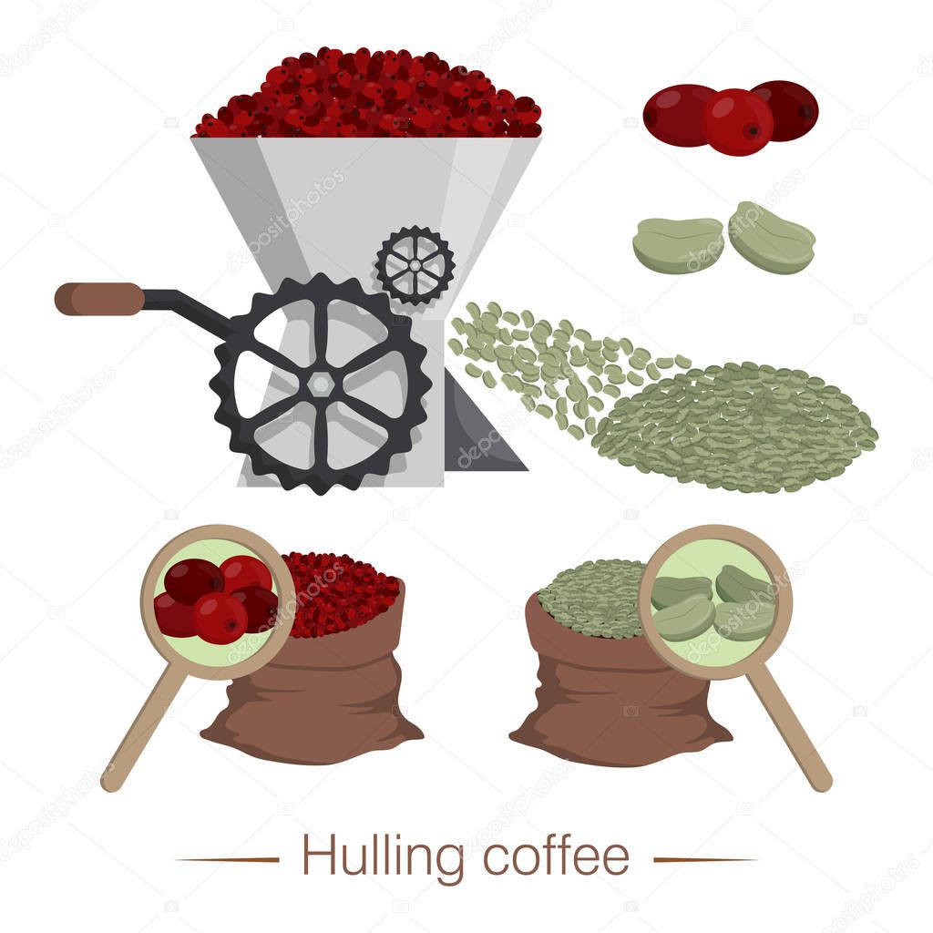 Hulling coffee. Unit for peeling coffee beans from the pulp