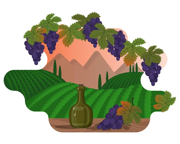 Mountain landscape with vineyards, a bottle of wine and a bunch of grapes. Framing of grape leaves and berries — Stock Vector