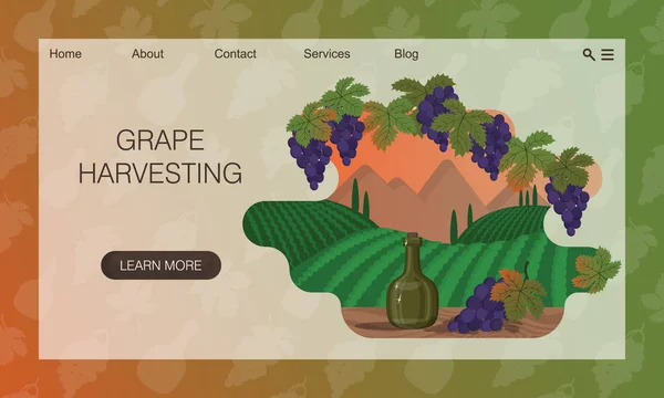 Templateinen Landschap Met Wijngaarden Wijnfles Bos Druiven Framing Van Druivenbladeren — Stockvector