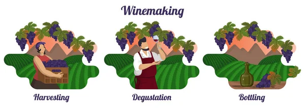 Serie Illustrazioni Isolate Della Produzione Vinicola Fasi Della Vinificazione Montagna — Vettoriale Stock