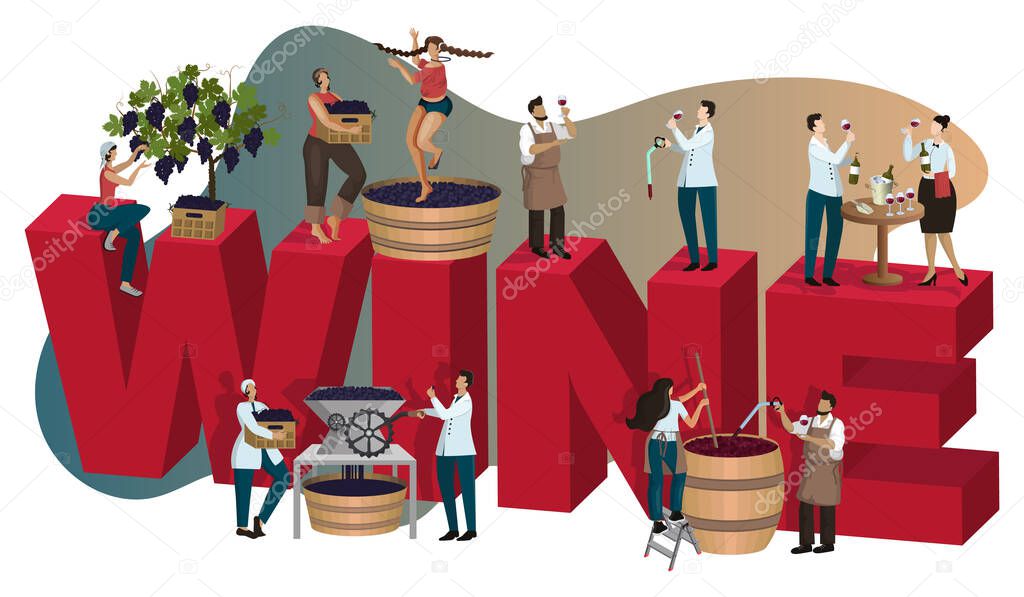 Winery concept with tiny people making and tasting wine. Vino at different stages of production: grape harvesting crushing, fermentation, aging, degustation. Poster, banner, cover. Cartoon flat vector