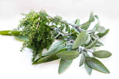 Beyaz arkaplanda bilge ve kekik. 