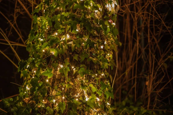 Luzes acesas à noite . — Fotografia de Stock