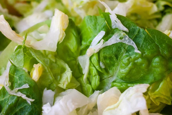Sliced romaine lettuce. Close up of green, yellow and white lettuce leaves. Dinner extras.