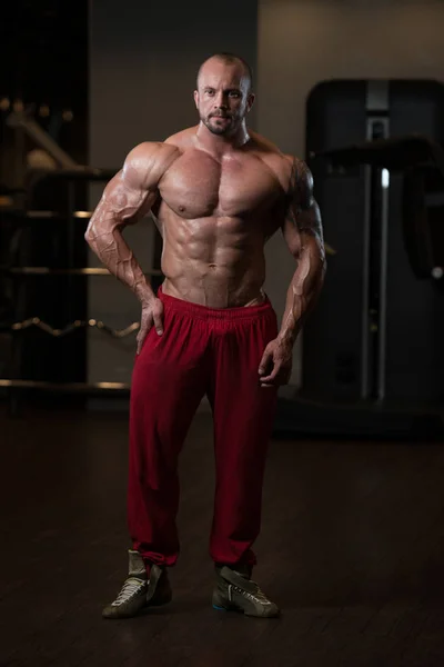 Porträt eines körperlich fitten, muskulösen Mannes — Stockfoto