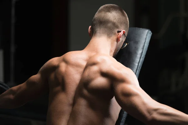 Homem muscular exercitando de volta com halteres — Fotografia de Stock