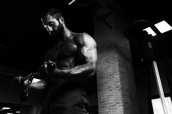 Powerful Muscular Man Exercising Biceps On Cable Machine — Stock Photo, Image