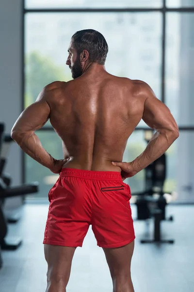 Young Bodybuilder Flexing Back Pose