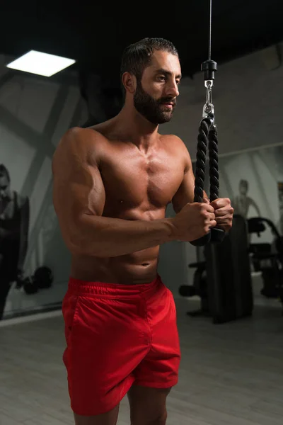 做为肱三头肌与电缆的重量重锻炼的健美运动员 — 图库照片