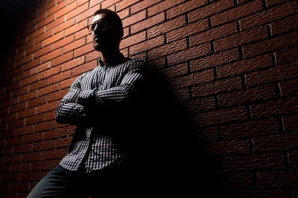 Standing Strong On Wall of Bricks — Stock Photo, Image