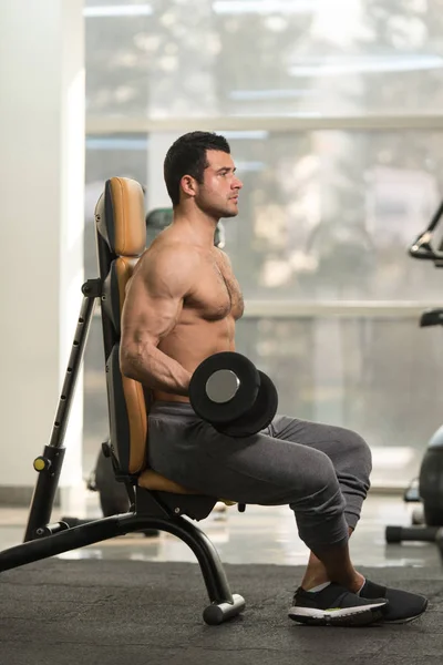 Muskularny mężczyzna ćwiczeń bicepsów z hantle — Zdjęcie stockowe
