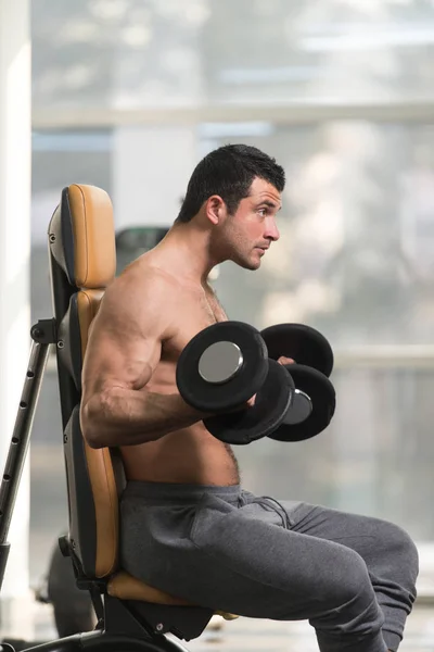 Ejercicio de bíceps con mancuerna en un gimnasio —  Fotos de Stock