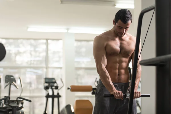 Kıllı vücut geliştirmeci triceps makinede egzersiz — Stok fotoğraf