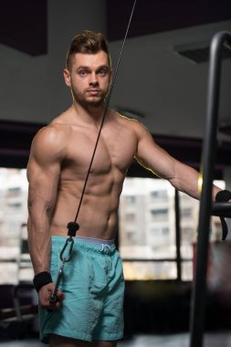 triceps egzersiz vücut geliştirmeci