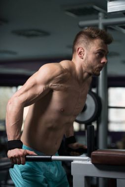 Göğüs ve Triceps egzersiz paralel Bar