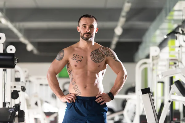 Hombre sano con paquete de seis —  Fotos de Stock