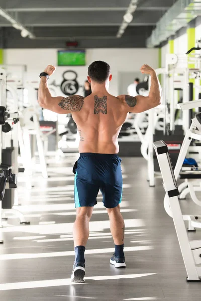 Uomo muscolare Flessione dei muscoli della schiena Posa — Foto Stock