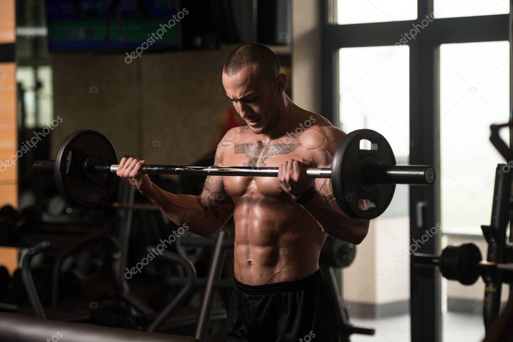 Man In The Gym Exercising Biceps With Barbell