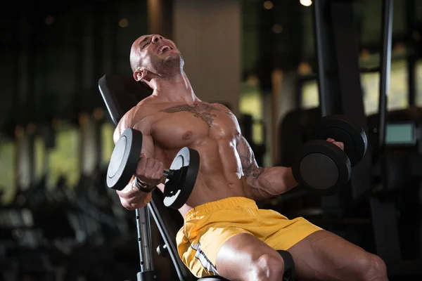 Homme avec haltères exercice Biceps — Photo