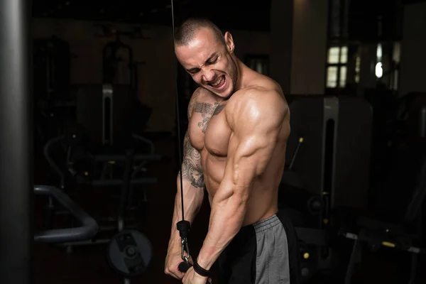 Bodybuilder Exercising Triceps On Machine — Stock Photo, Image