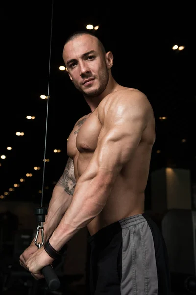 Bodybuilder Exercising Triceps On Machine — Stock Photo, Image