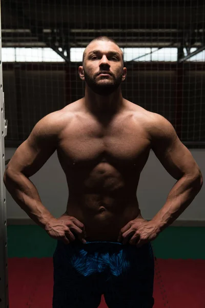 Retrato de un hombre musculoso físicamente en forma —  Fotos de Stock