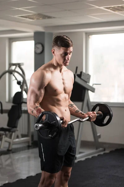 Muscular Young Man Exercising Biceps With Barbell — Stock Photo, Image