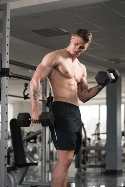 Bodybuilder Exercising Biceps With Dumbbells — Stock Photo, Image