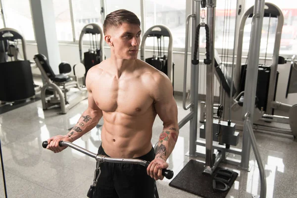 Joven ejercitando bíceps en el gimnasio —  Fotos de Stock