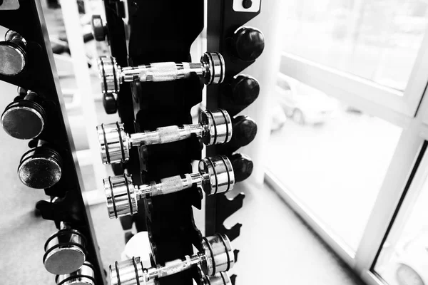 Stand Dumbbells Gym — Stock Photo, Image