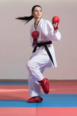 mücadele - Delme karma dövüş sanatçıları