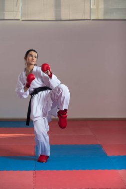 mücadele - Delme karma dövüş sanatçıları